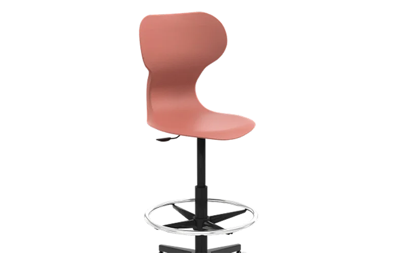 lab-and-science-stools-cat-image