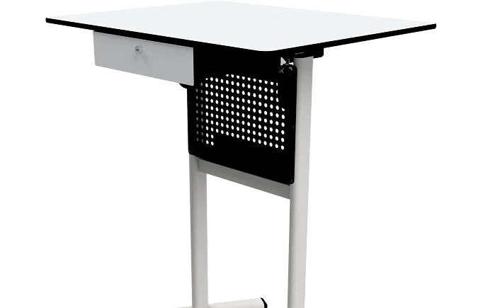 teachers-desks-cat-image